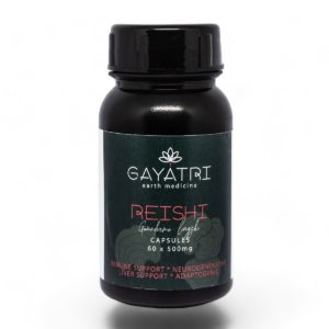 reishi mushroom capsules