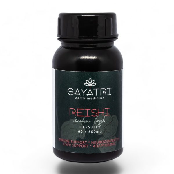 reishi mushroom capsules