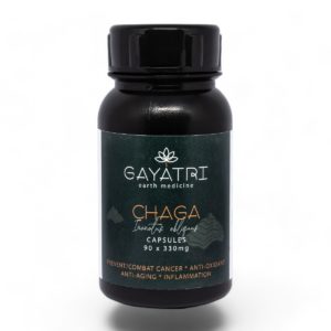 Chaga Mushroom capsules