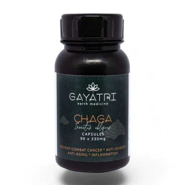 Chaga Mushroom capsules