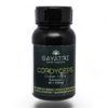 Cordyceps Mushroom Capsules